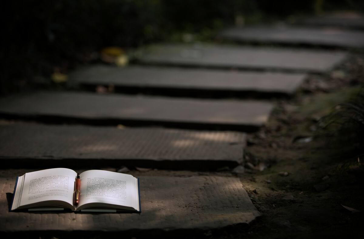 文科论文写作四个不要