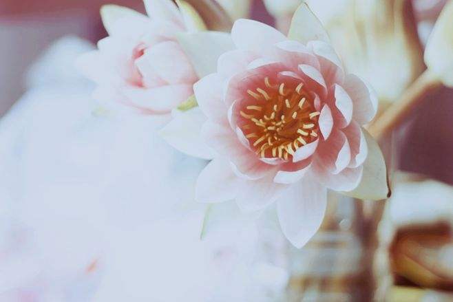 论文中目录的作用是什么,如何生成正确的目录?