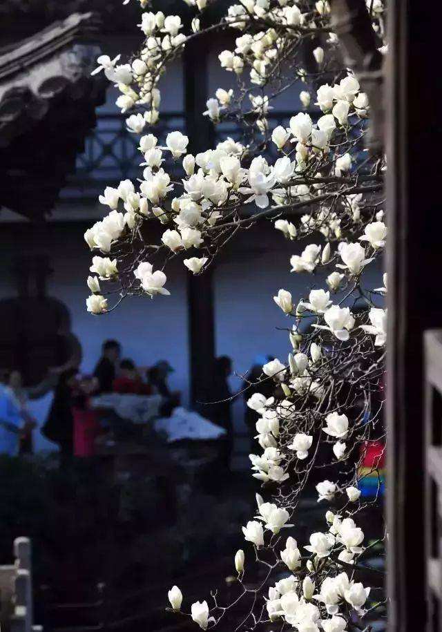 工业设计产品设计毕业论文查重及写作要求