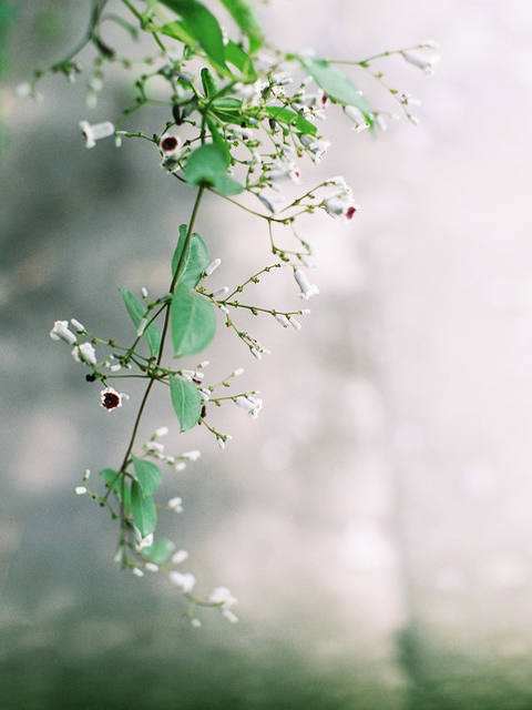 语文课堂教学的有效性教育论文范文